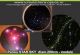 Panou STAR SKY rotund diam 200cm